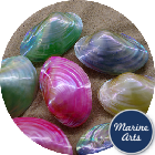 Polished River Oyster Pair - Assorted Colours 7.5-10cm